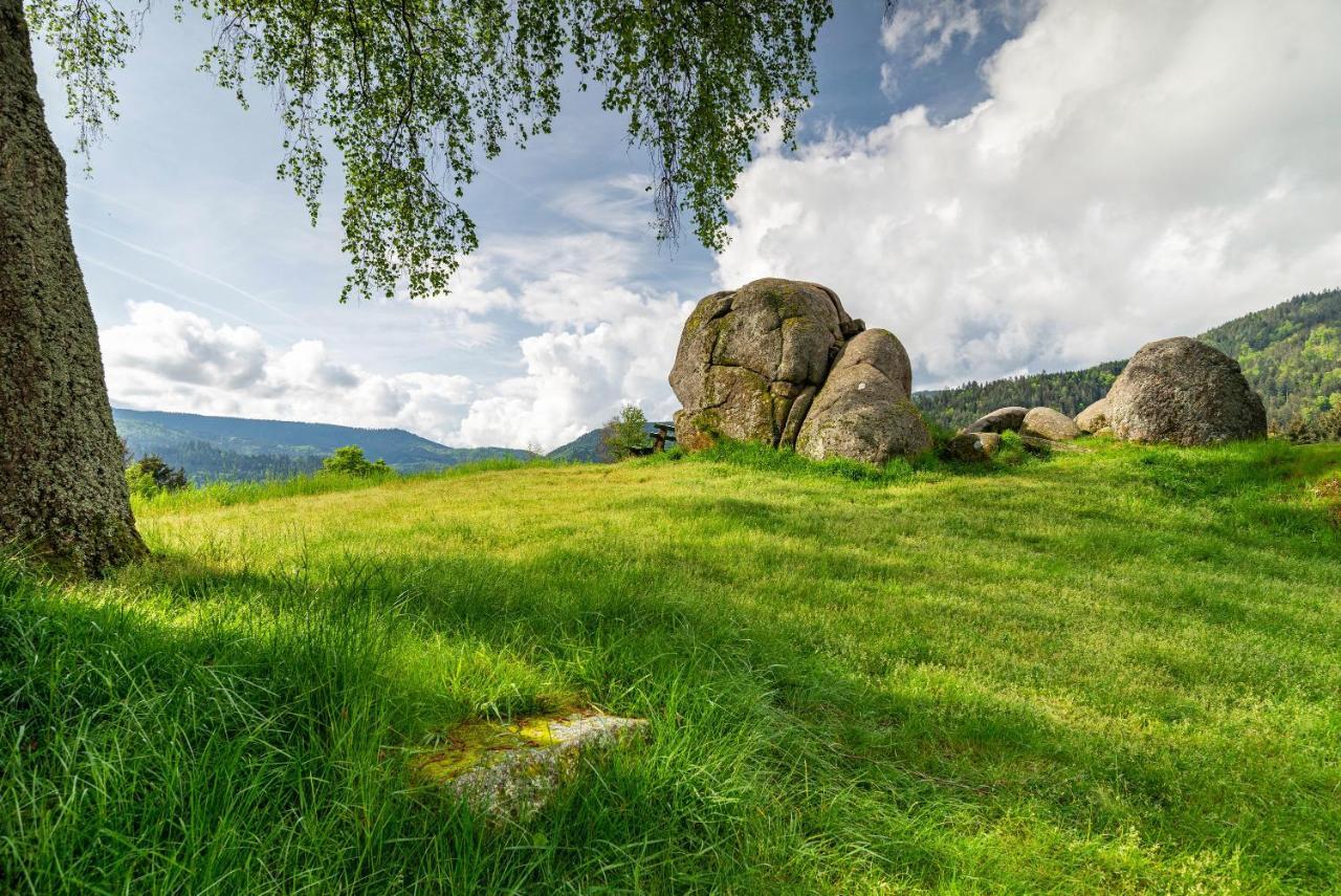 Bergblick